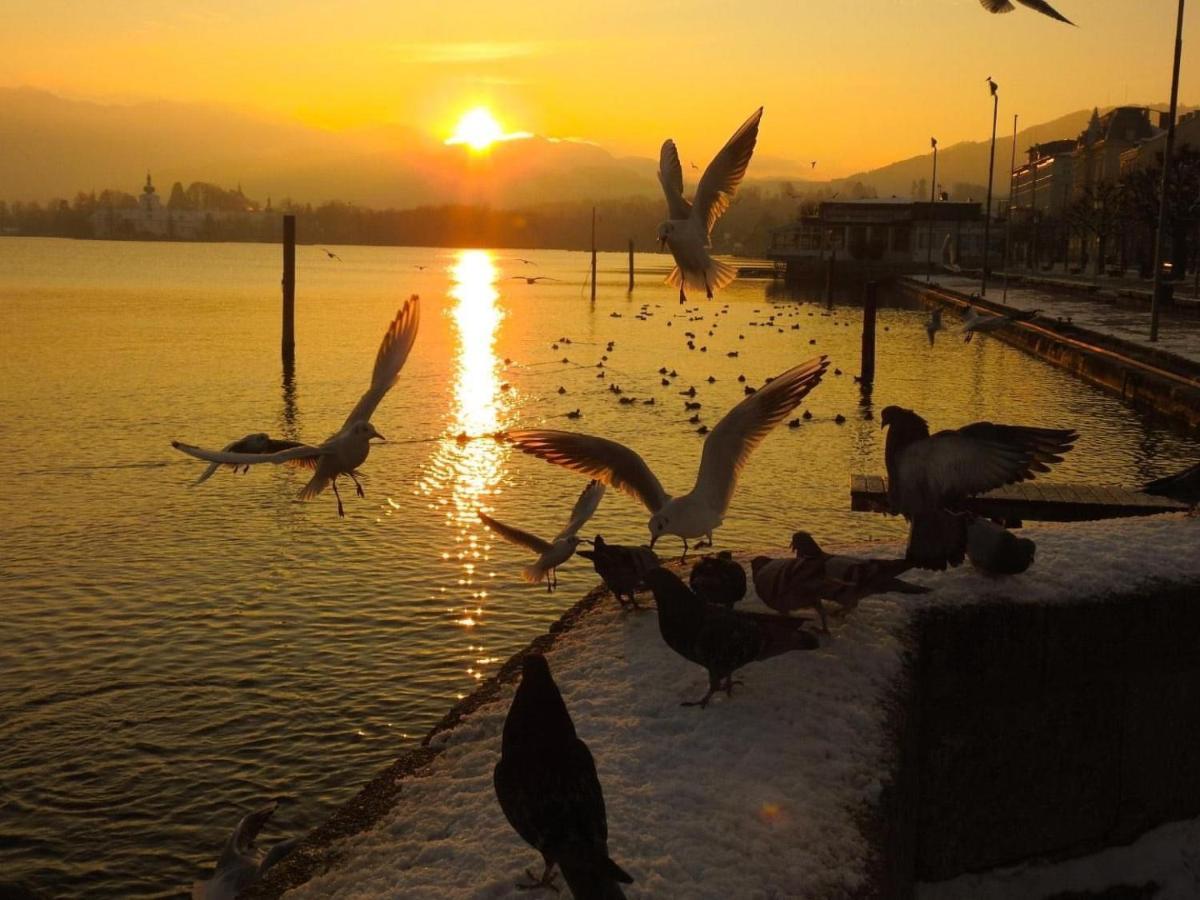 Ferienhaeuschen Am Traunsee Mit Tretboot Zur Freien Nutzung Am Badeplatz Altmuenster Ngoại thất bức ảnh