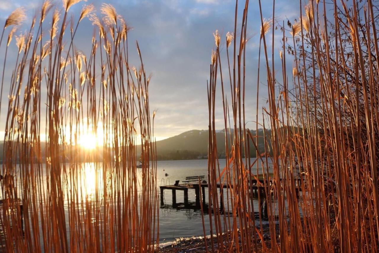 Ferienhaeuschen Am Traunsee Mit Tretboot Zur Freien Nutzung Am Badeplatz Altmuenster Ngoại thất bức ảnh